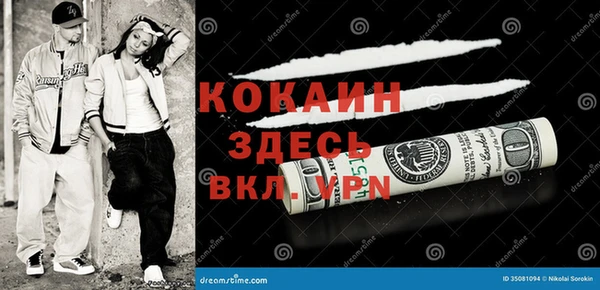 твердый Козловка