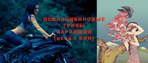 твердый Козловка