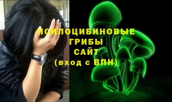 мяу мяу мука Козельск