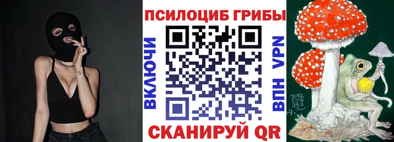 Галлюциногенные грибы Psilocybe  Купить закладки  Беломорск 